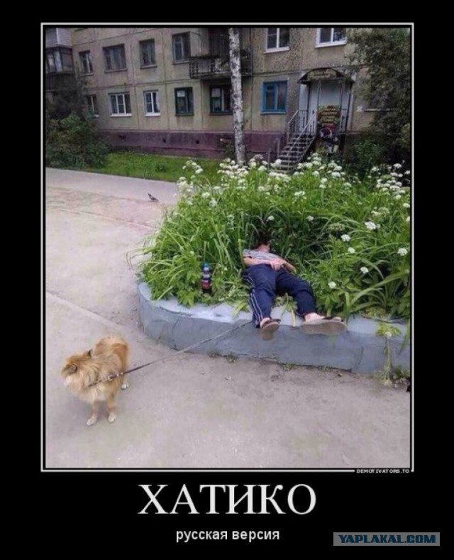 Картинки разные