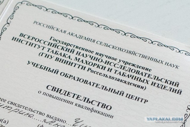 Как в Беларуси делают сигареты: репортаж