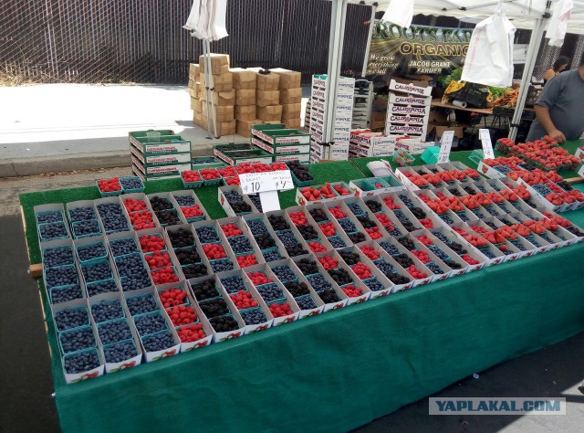 Русский продуктовый магазин в Лос-Анджелесе