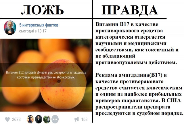 В интернете могут врать?