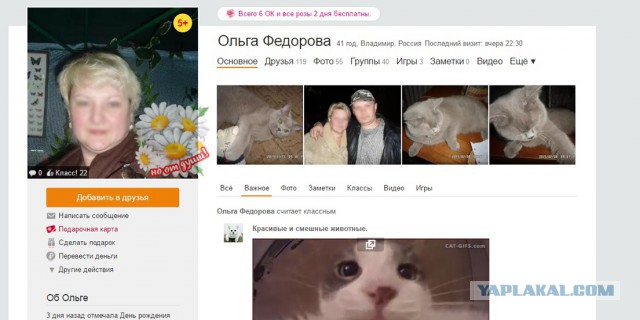 Во Владимире подростки сняли на видео жестокое убийство котёнка