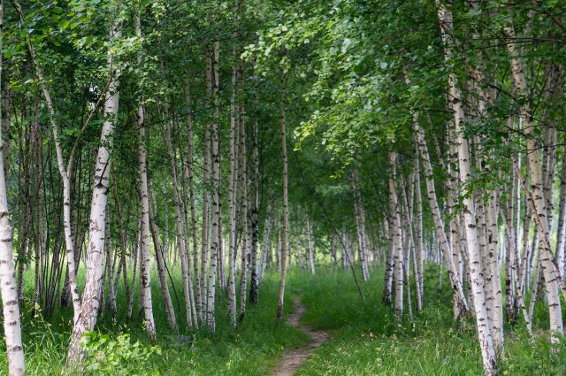 Подборка "тёплых уютных домашних" фотографий, часть 6