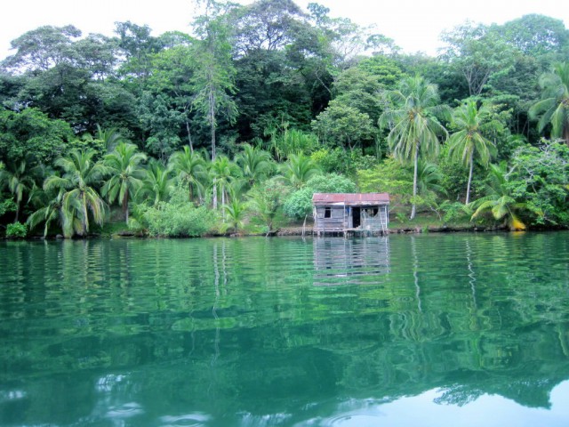 Моменты, запечатлённые на фото и просто позитив 5