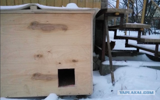 Дом для кота
