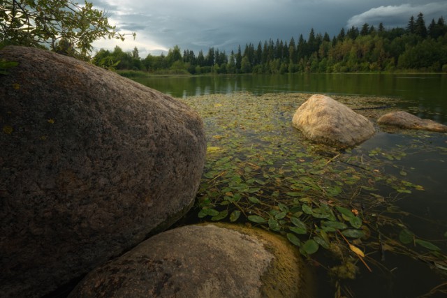 Мое увлечение фотографией