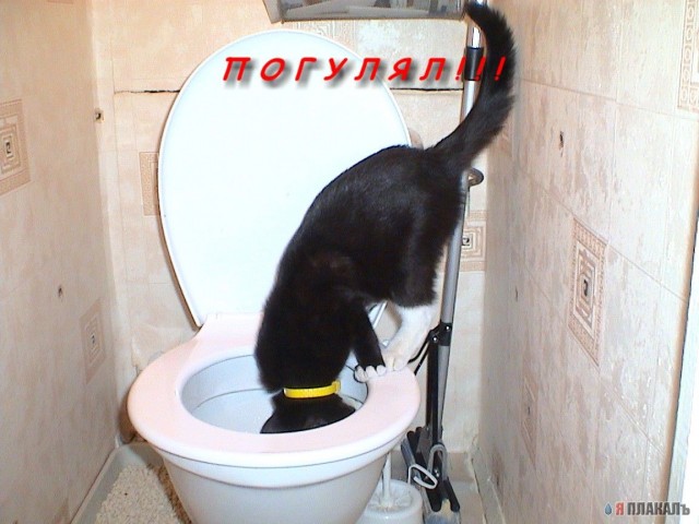 Любопытство не порок
