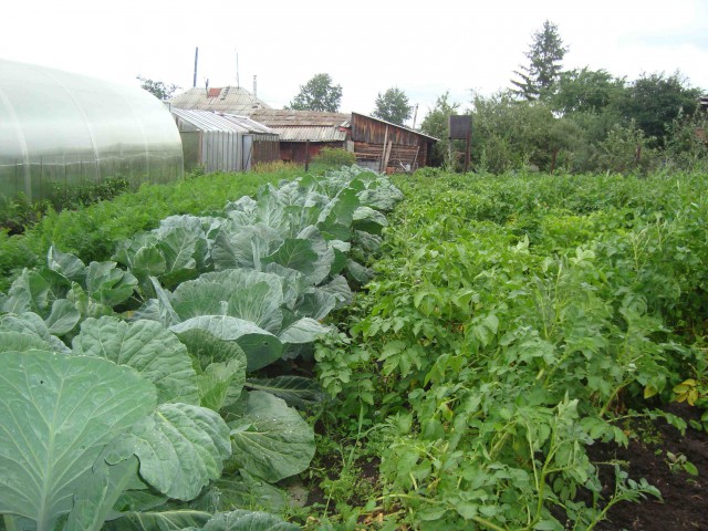 Моя стройка, как часть жизни. Часть первая. 2009-2012.