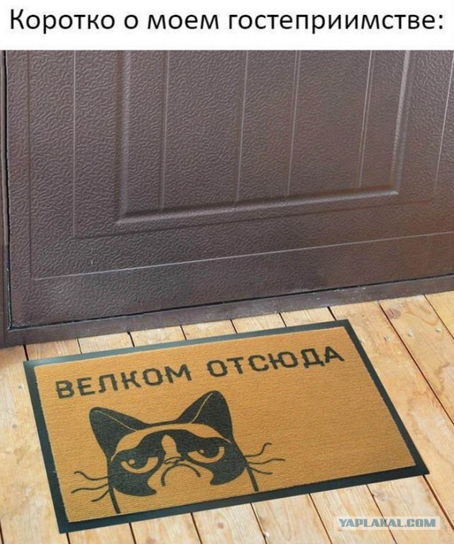 А вот и деградация подтянулась! Ныряем в омут с головой!