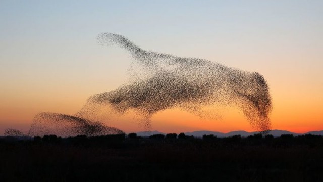 Фотограф не сразу понял, что сделал совершенно уникальный снимок