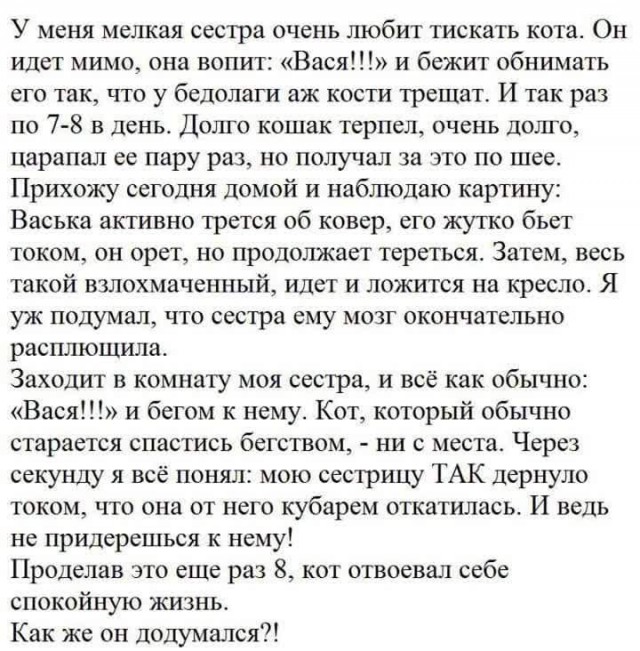 Немного картинок в этот четверг