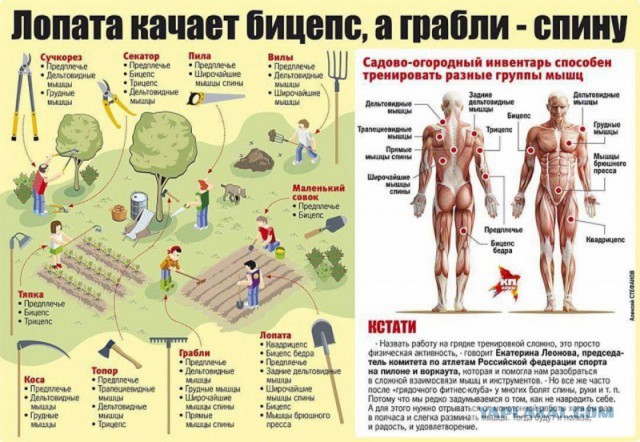 Осень! Время хвастаться дачникам - 2018!