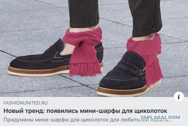 Скотсети и прочие интернеты 28.12.18