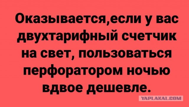 А у вас есть такой сосед?