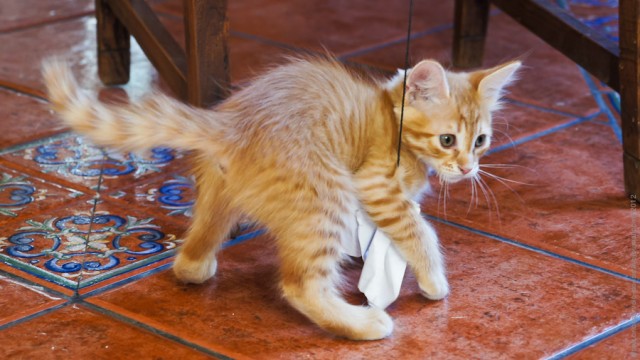 Один мой день. Самый первый!