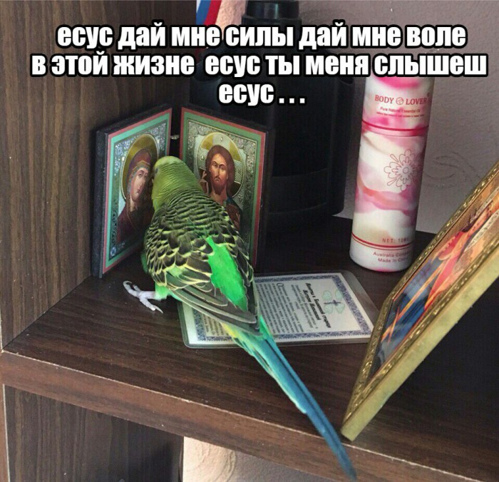 Возможна ли жизнь без секса?