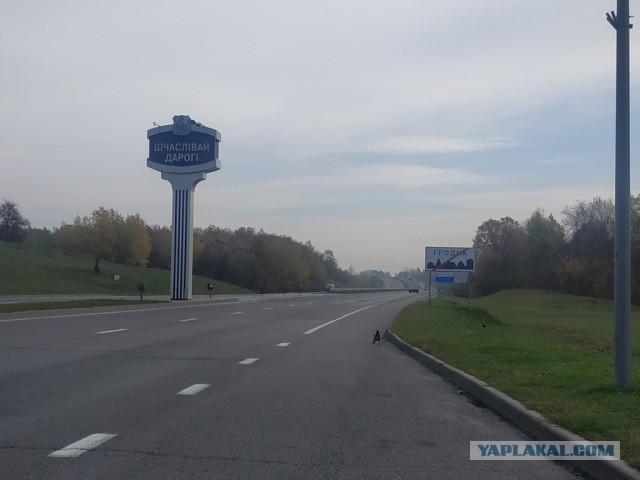ЯП вокруг света. Германия, Австралия, Китай...