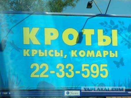 Крысы, комары, кроты! Недорага!