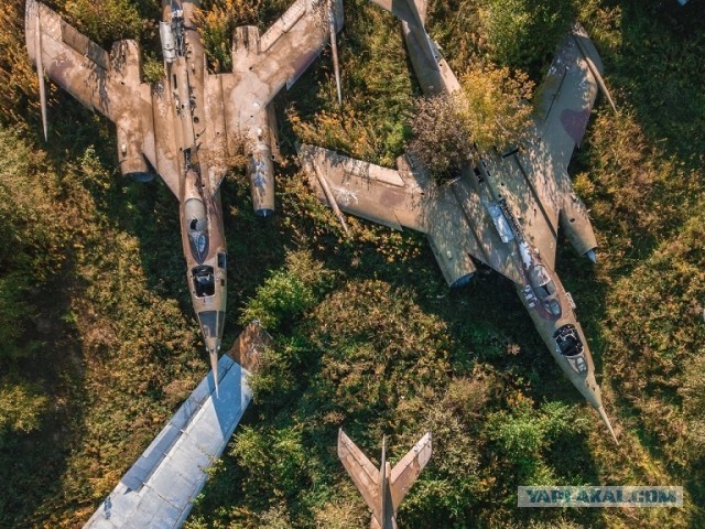 Калейдоскоп картинок
