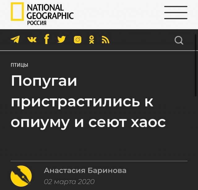 Бредзона 03.03.2020