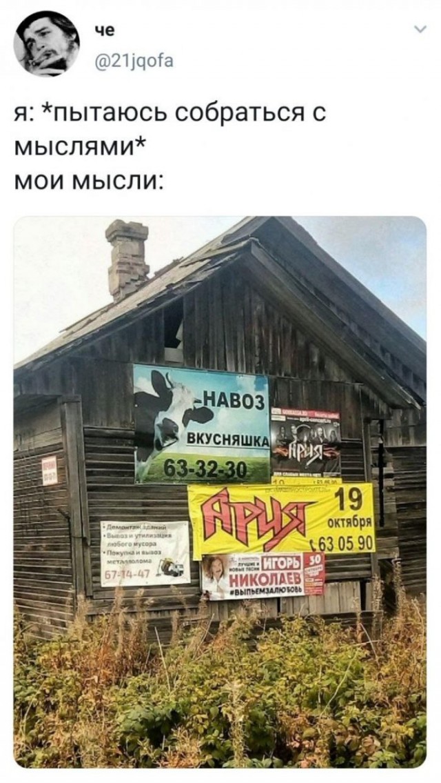 Немного картинок для настроения 01.04.20