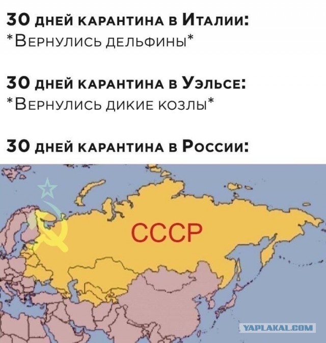 Забота о населении в РФ