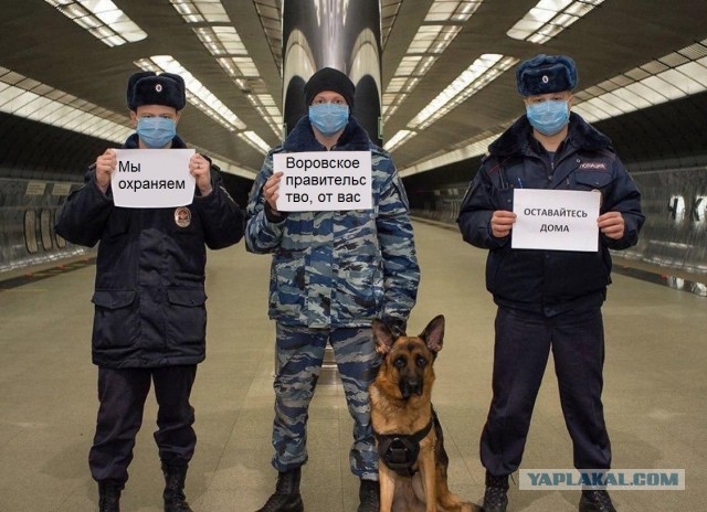 Мы вас трогать не собираемся
