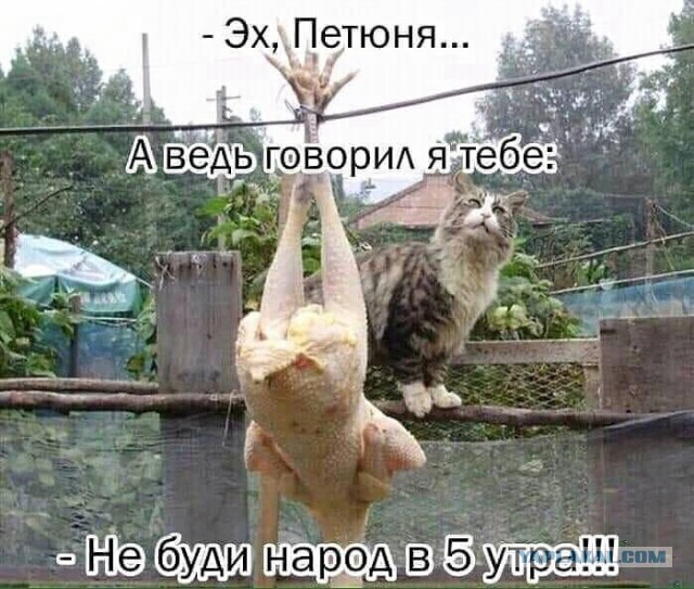 Картинки разные 08.10.2020