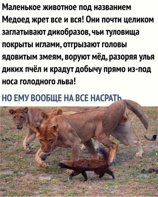 С миру по нитке 11.12 пятница