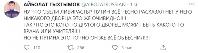 Путин ответил на расследование Навального о дворце в Геленджике
