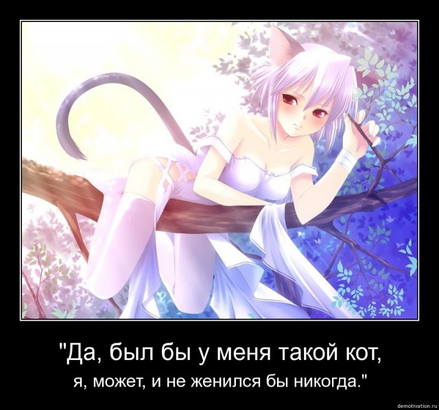 Хозяйка, твой муж звонит!