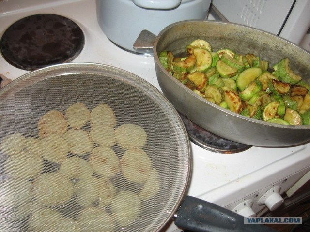 Чинахи по Дженибековски.