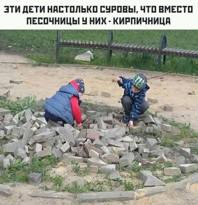 Всяческие картинки 22.06.2021