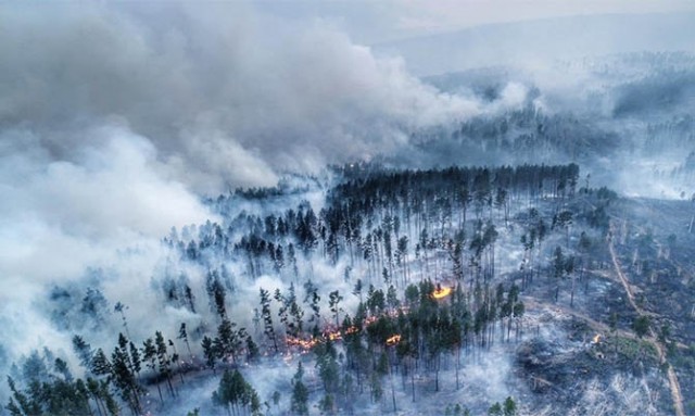 Очевидец: В Якутии леса поджигают намерено