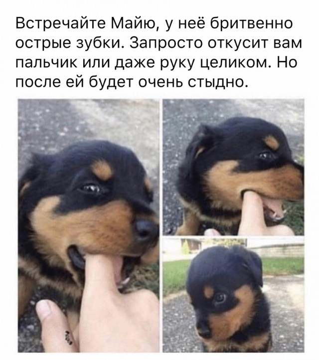 Чуток картинок 11.09.21