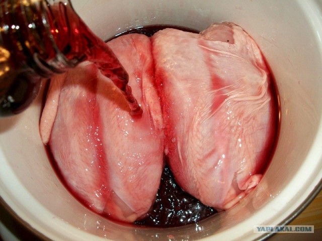 International одной книги., В память о Дженибеке.