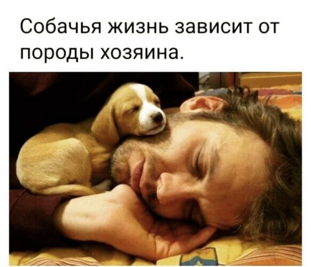 Картинки и мемы, всем прекрасных выходных