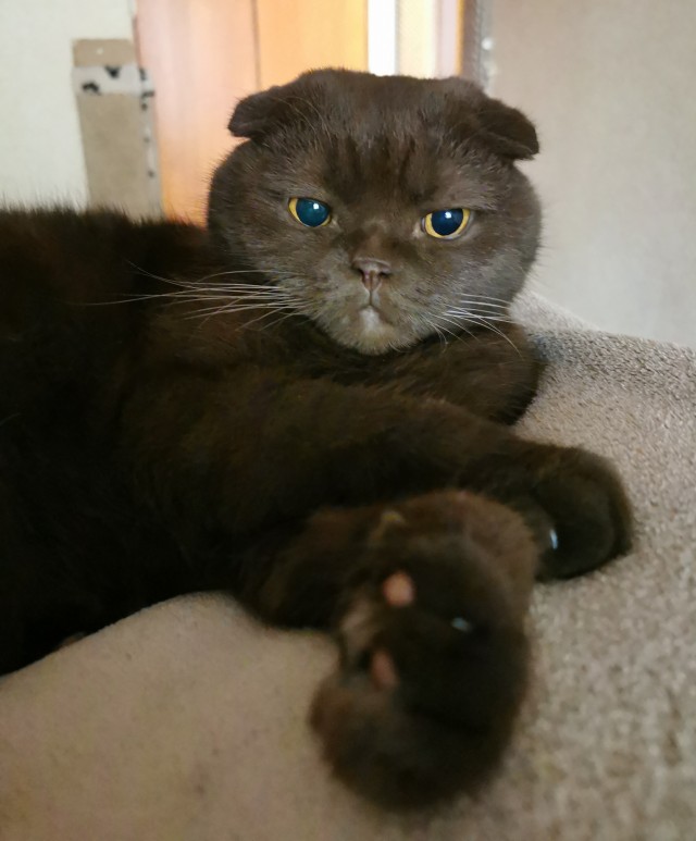 Котовторник 05.10.21 г