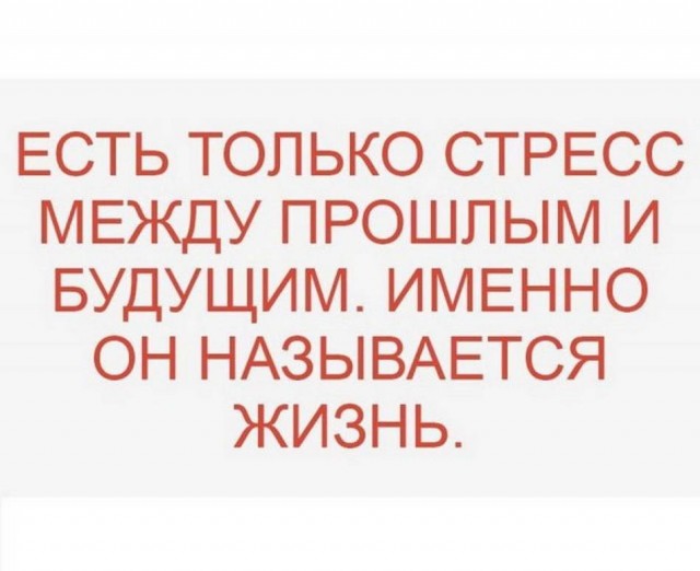 Картинки и мемы для настроения 02.02.2022