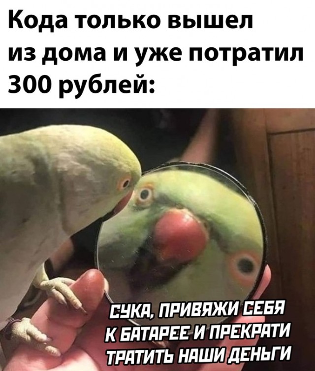 Весёлый полтишок 03.02