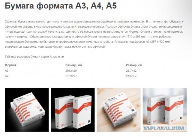 Офисную бумагу формата А4 начали производить в Добруше (Беларусь)