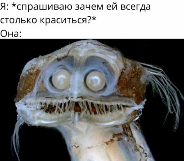 Так себе картинки 24.04.22