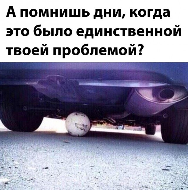 Весёлый полтишок 03.06.22