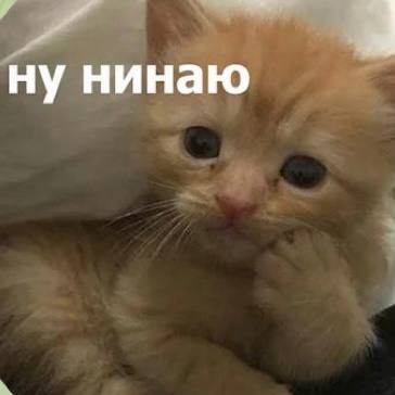 Росстат обнаружил в России рекордный за 13 лет рост зарплат