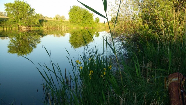 13 июня. На Волге