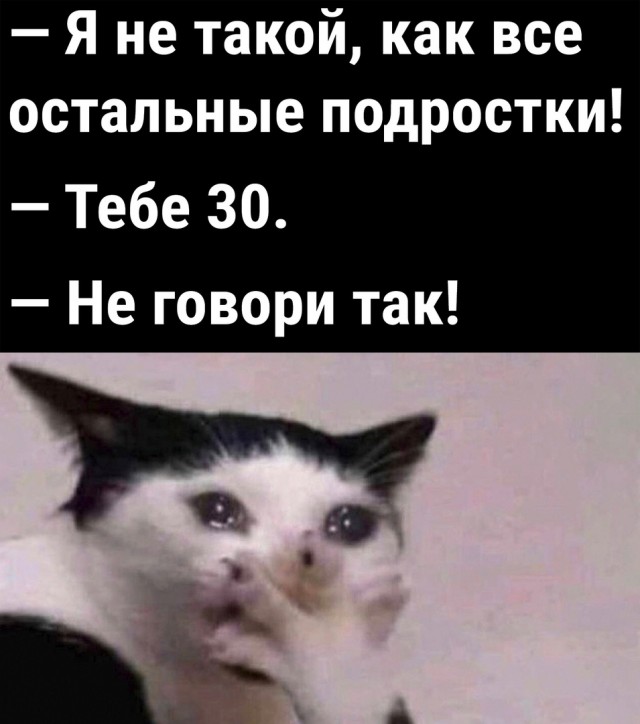 Чуток картинок 13.06.22