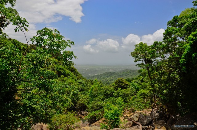 Путешествие по Северной Америке