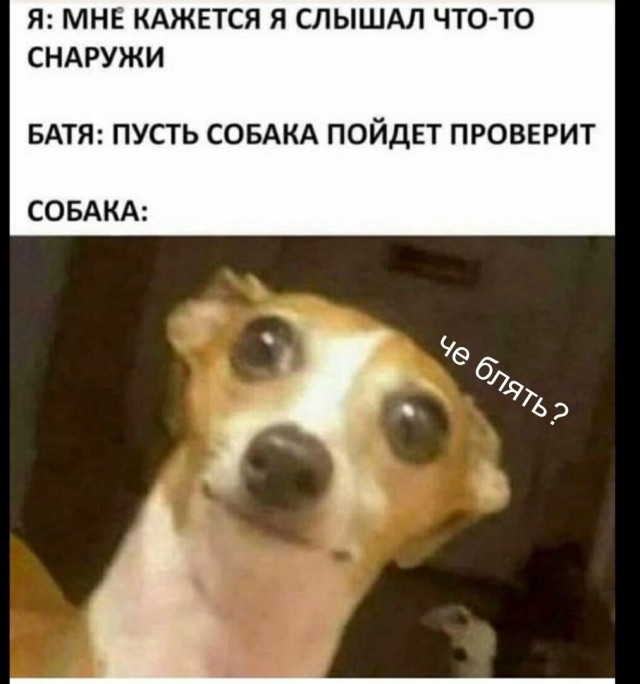 Юмор в картинках и без