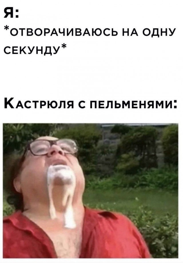 Весёлый полтишок 12.10.22
