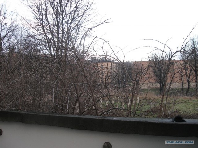 Новый год в Польше