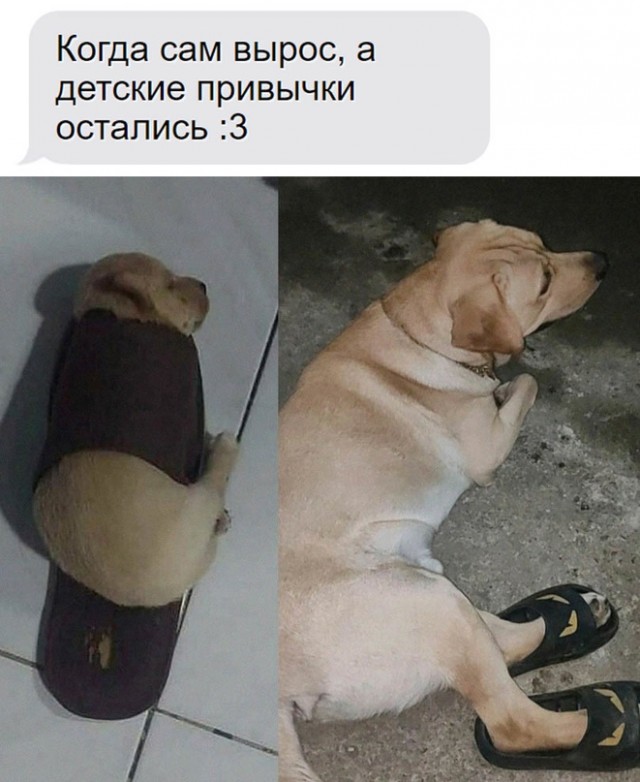 Немного картинок для настроения - 137